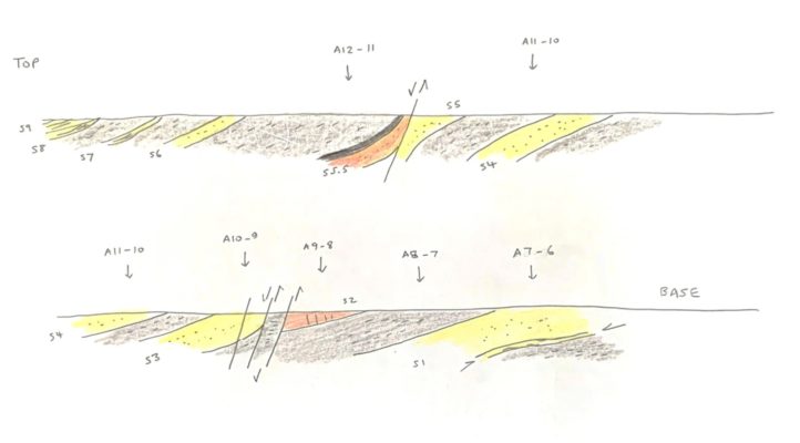 Stratigraphy Sedimentology And Palaeontology Tapping Into Commercial Datasets A Woefully 1473