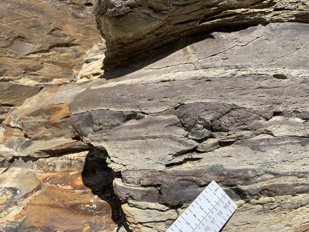 Stratigraphy, Sedimentology and Palaeontology | IMG_1606