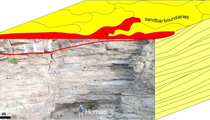 Unlocking the Secrets of Ancient Estuarine Deposits