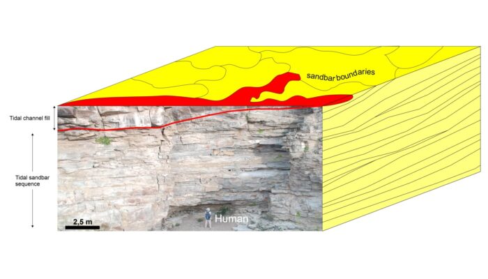 Unlocking the Secrets of Ancient Estuarine Deposits