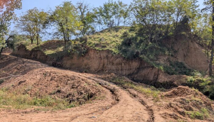 Insight into paleo-environmental and -climatic conditions during the Pleistocene period in Kashmir – An understudied and poorly understood puzzle-piece in the interaction-sphere of the Indian Monsoon and Westerly climate-systems