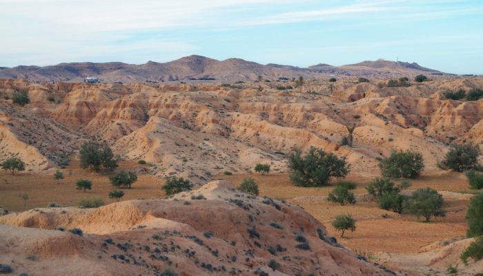 Desert loess: formation, distribution, geoscientific value