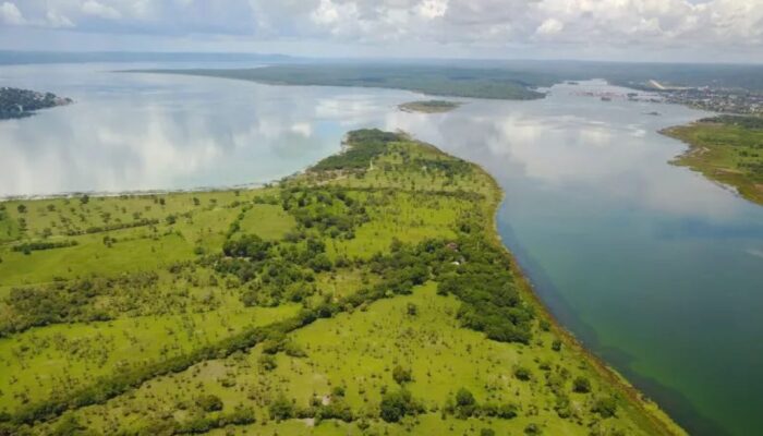 Tracing temperatures in tropical Lake Petén Itzá over the last 24,000 years
