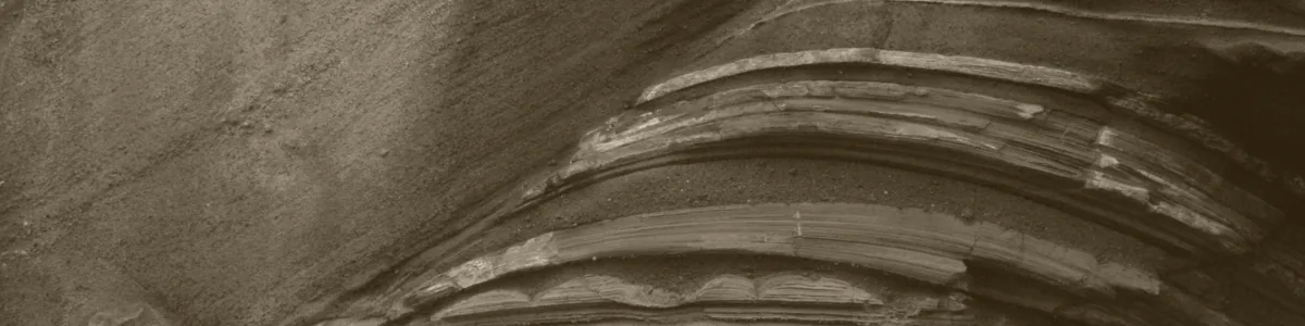 Tinted detail of a photo: Black-and-white rock face where thin layers of rock bend upwards in a broad dome shape like an arch, rising from loose stones and a small plant at the base.