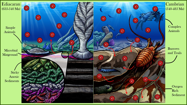 Slimy Landscapes 2: This time it’s Precambrian