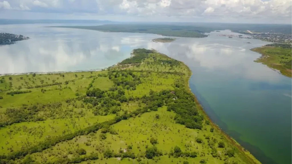 Tracing temperatures in tropical Lake Petén Itzá over the last 24,000 years