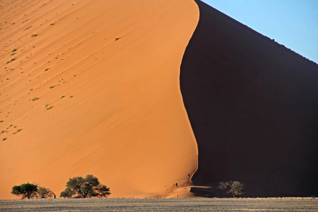The Guinness Book of Sedimentology: your guide to the world’s largest EVER sedimentary landforms