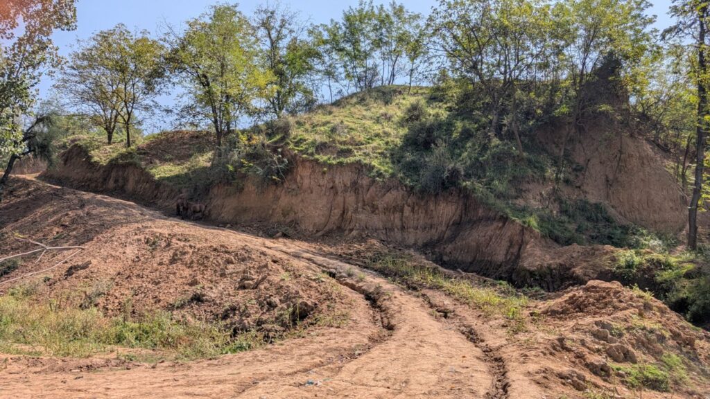 Insight into paleo-environmental and -climatic conditions during the Pleistocene period in Kashmir – An understudied and poorly understood puzzle-piece in the interaction-sphere of the Indian Monsoon and Westerly climate-systems