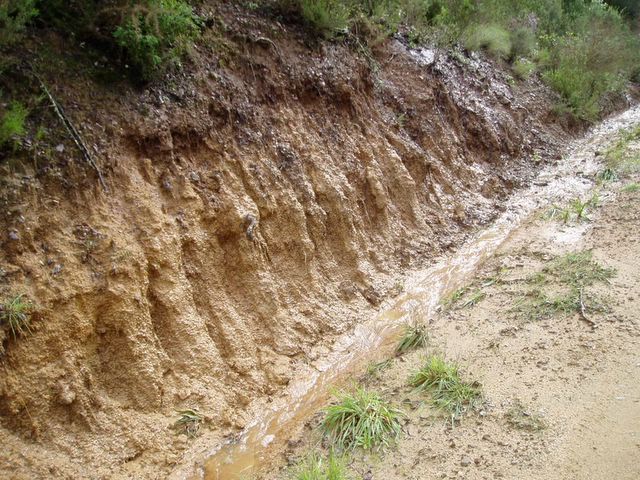 Studies on soil erosion (see www.ub.edu/gram).