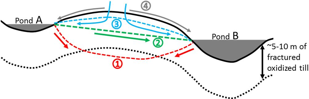 Conceptual water flow paths (arrows) between two adjacent ponds in the prairie pothole region. Red line and arrows (1) indicate groundwater levels and flow paths, respectively, for dry conditions. Green line and arrows (2) indicate wet conditions where pond A is feeding pond B via the subsurface effective transmission zone. Blue lines and arrows (3) show wetter conditions with a mounded water table and flow diverging from a groundwater divide between the ponds. Gray arrows (4) show typical flow paths for snowmelt water over frozen soils, away from the topographic divide.