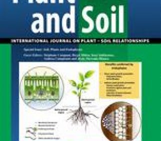 Soil System Sciences | TOP-30 papers in the TOP-10 journals of the SOIL  SCIENCES category (and X): JOURNAL OF SOILS AND SEDIMENTS