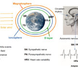 On the correlation and interactions of space weather with biological indicators