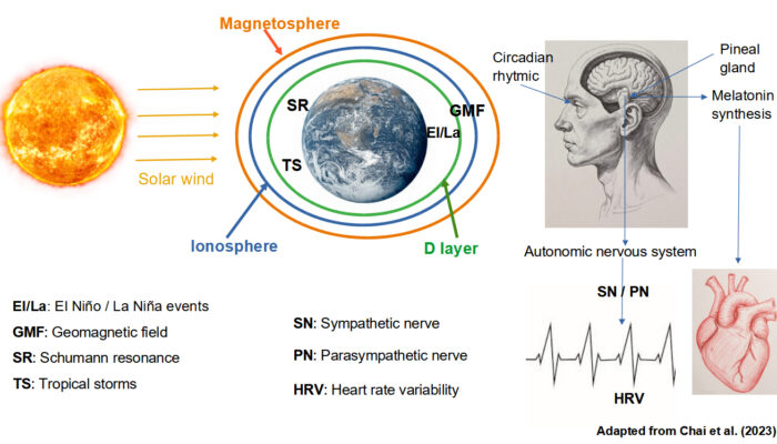 On the correlation and interactions of space weather with biological indicators