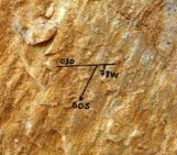 Features from the field: Slickenside Lineations
