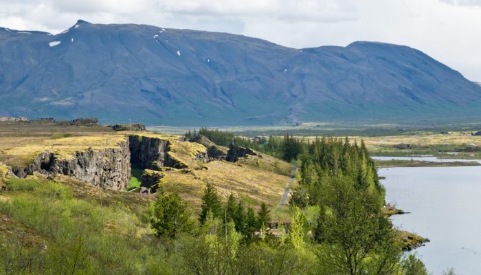 Minds over Methods: Massively dilatant faults in Iceland – from surface to subsurface structures