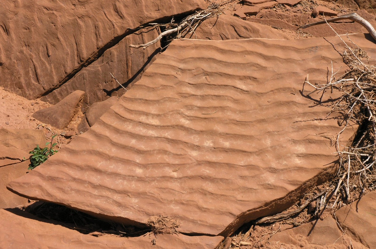 Utah Ripples Tectonics and Structural Geology | Features from the field: Ripple Marks
