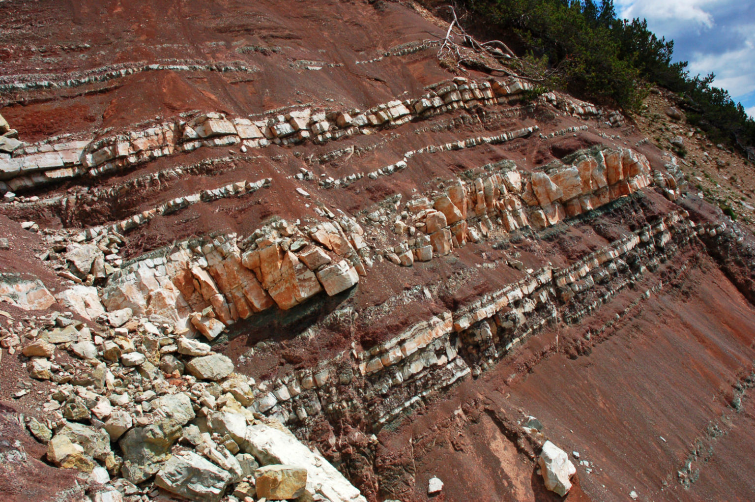 Tectonics and Structural Geology | Features from the field: Bedding ...