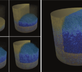 Neutrons and X-rays: 3D and 4D imaging in geoscience