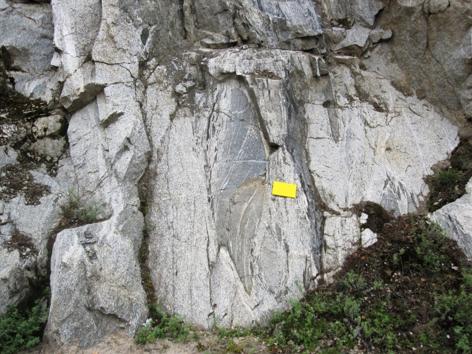 Tectonics and Structural Geology Features from the Field Shear Zones