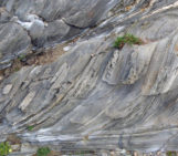 Features from the Field: Shear Zones and Mylonites