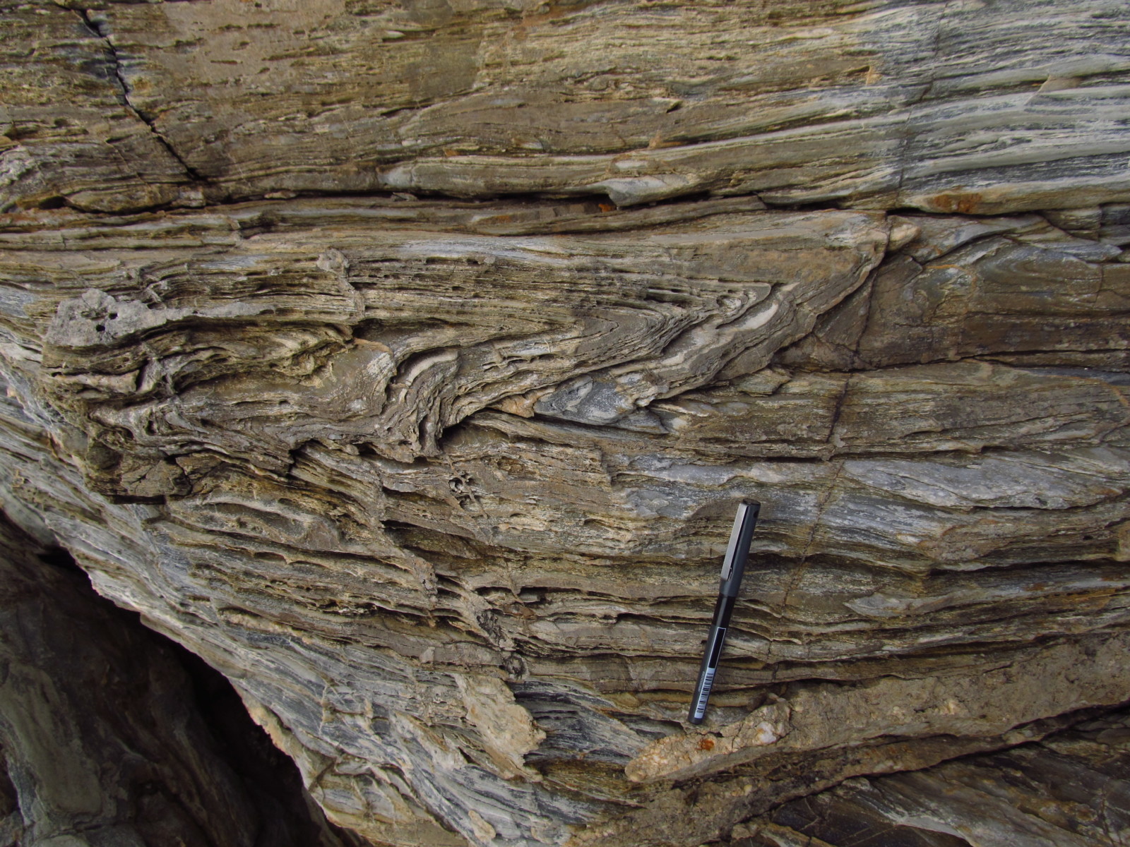 Tectonics and Structural Geology | Features from the Field: Sheath Folds