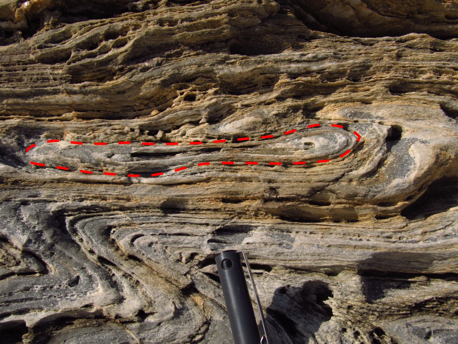 Tectonics And Structural Geology Features From The Field Sheath Folds