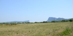 Pic Saint-Loup and Hortus