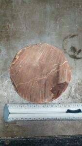 Photo of a drill core from a mudstone