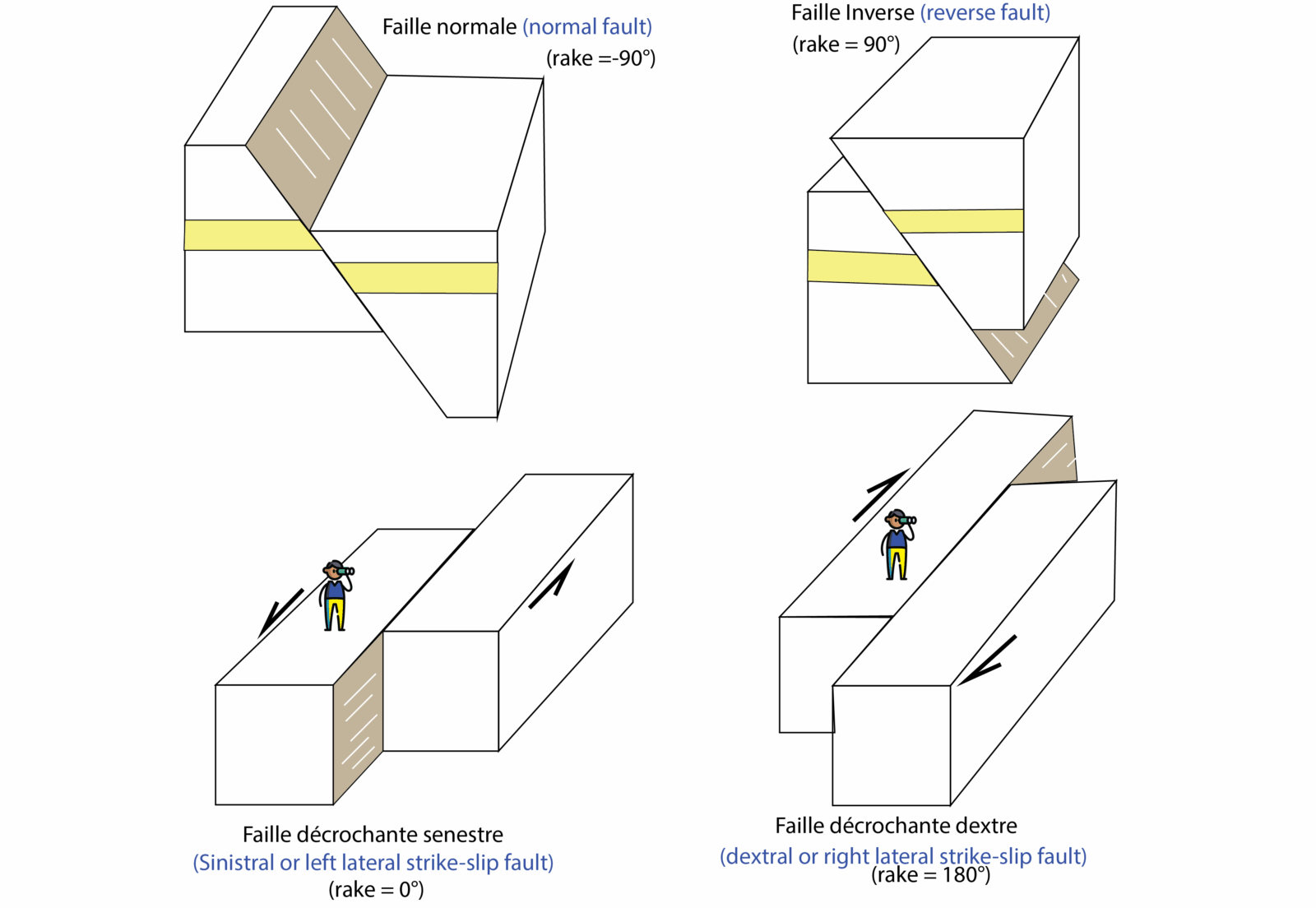 Four 3D block diagrams showing the main types of geological faults: a normal fault (extension, hanging wall down), a reverse fault (compression, hanging wall up), a sinistral or left-lateral strike-slip fault (horizontal motion to the left), and a dextral or right-lateral strike-slip fault (horizontal motion to the right). Each block diagram includes arrows indicating displacement direction and the rake value of movement.