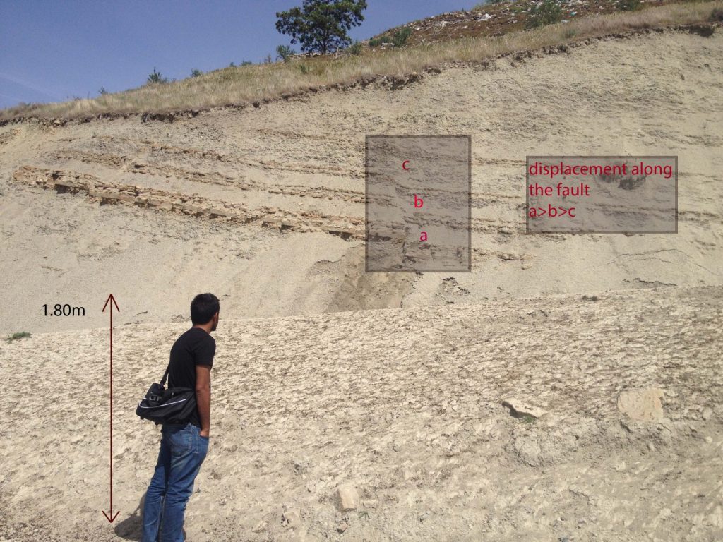 Features from the field: Growth Faults