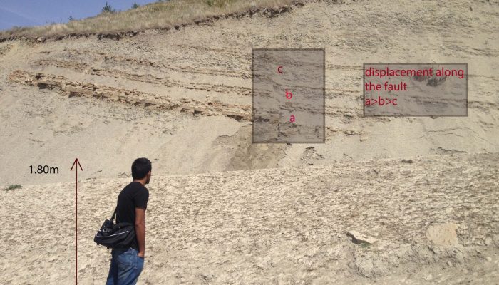 Features from the field: Growth Faults