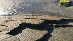 Features from the field: Ripple Marks
