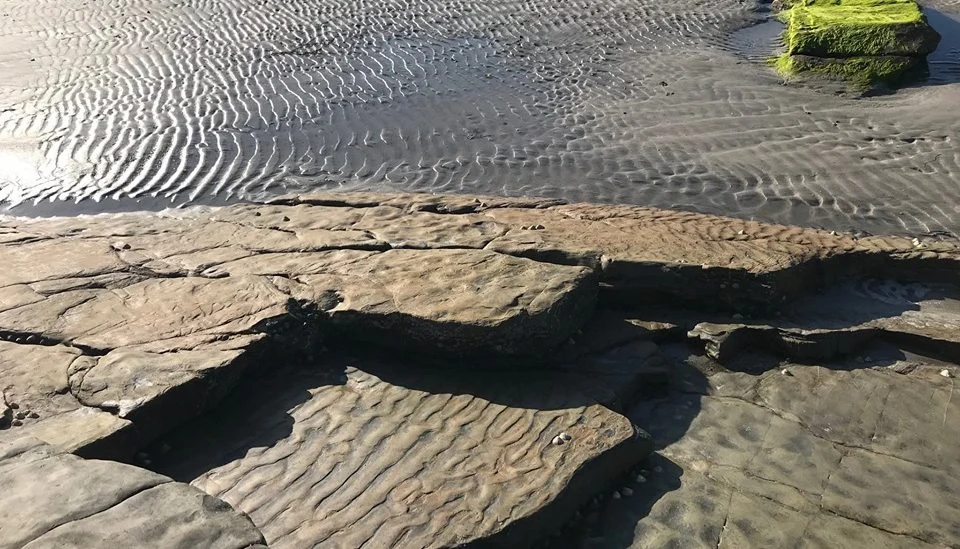 Features from the field: Ripple Marks