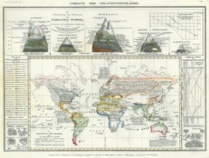 Beyond Tectonics: How mountain building shaped biodiversity