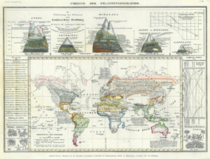 Beyond Tectonics: How mountain building shaped biodiversity