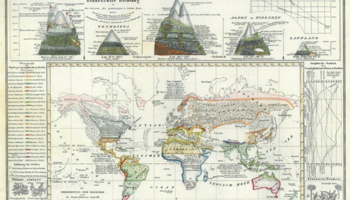 Beyond Tectonics: How mountain building shaped biodiversity