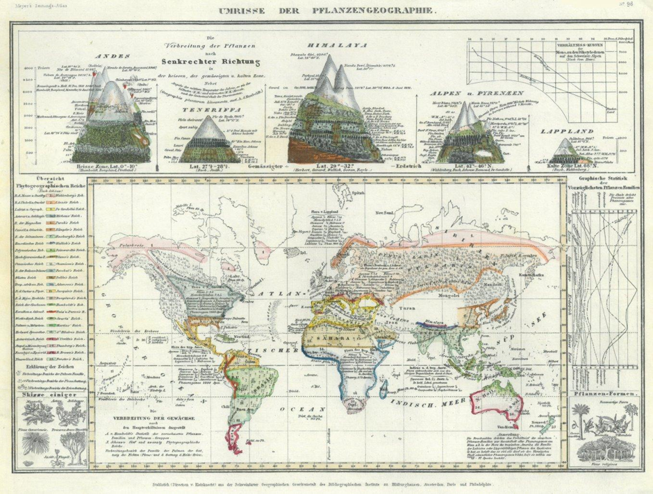 Beyond Tectonics: How mountain building shaped biodiversity