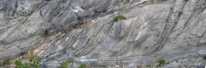 Features from the Field: Shear Zones and Mylonites