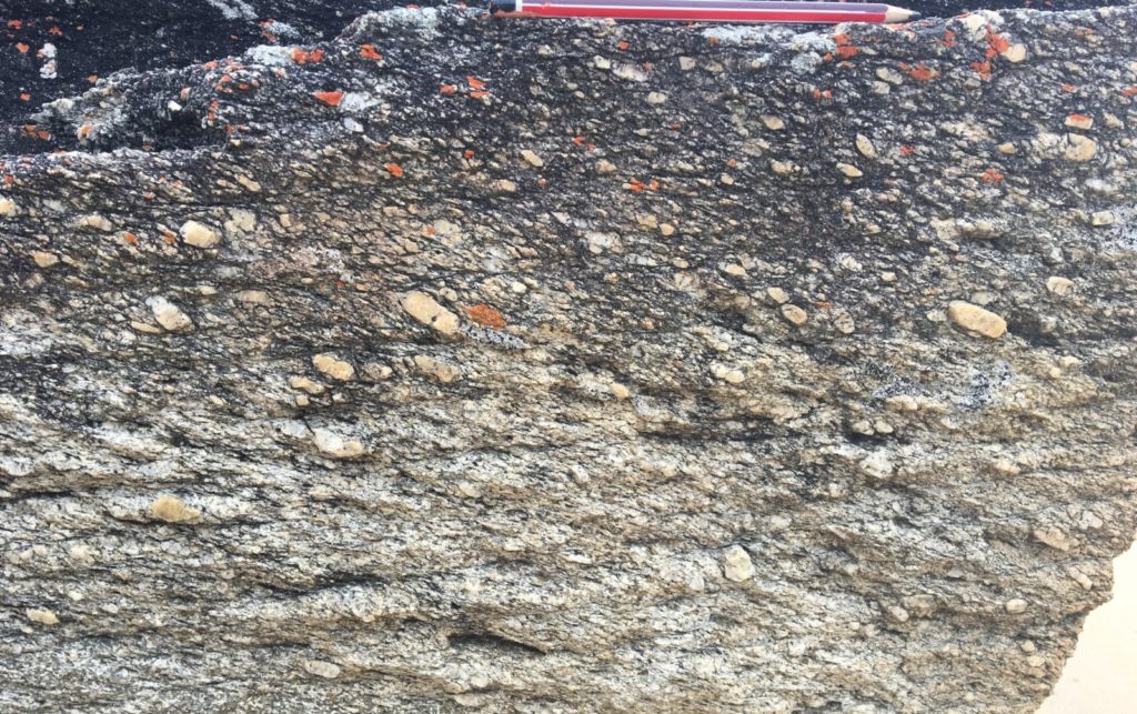 Features from the Field: S-C fabrics