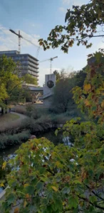 Picture of a lake with green leaves in front and University building in the background