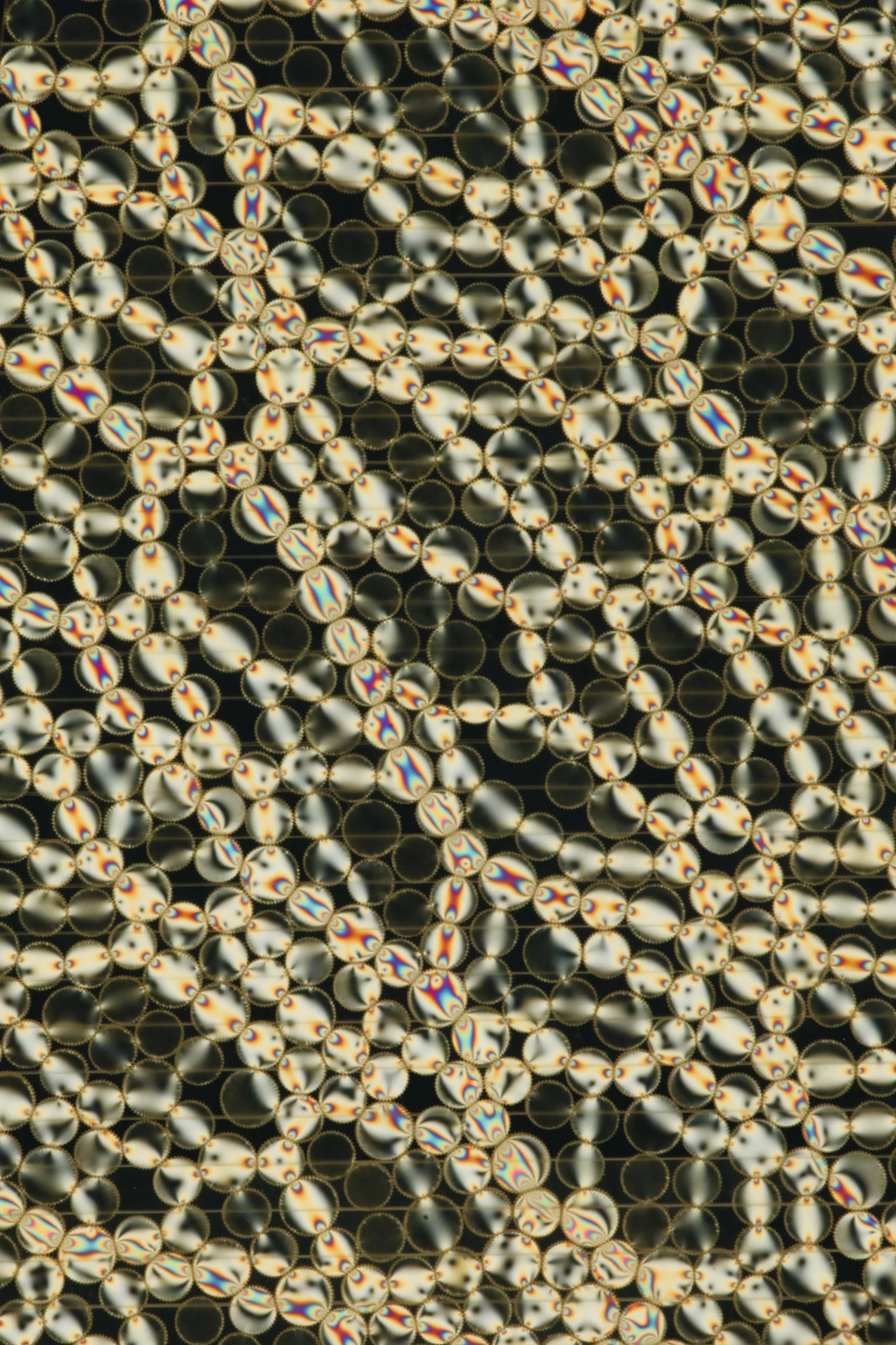 Photo of force chains.