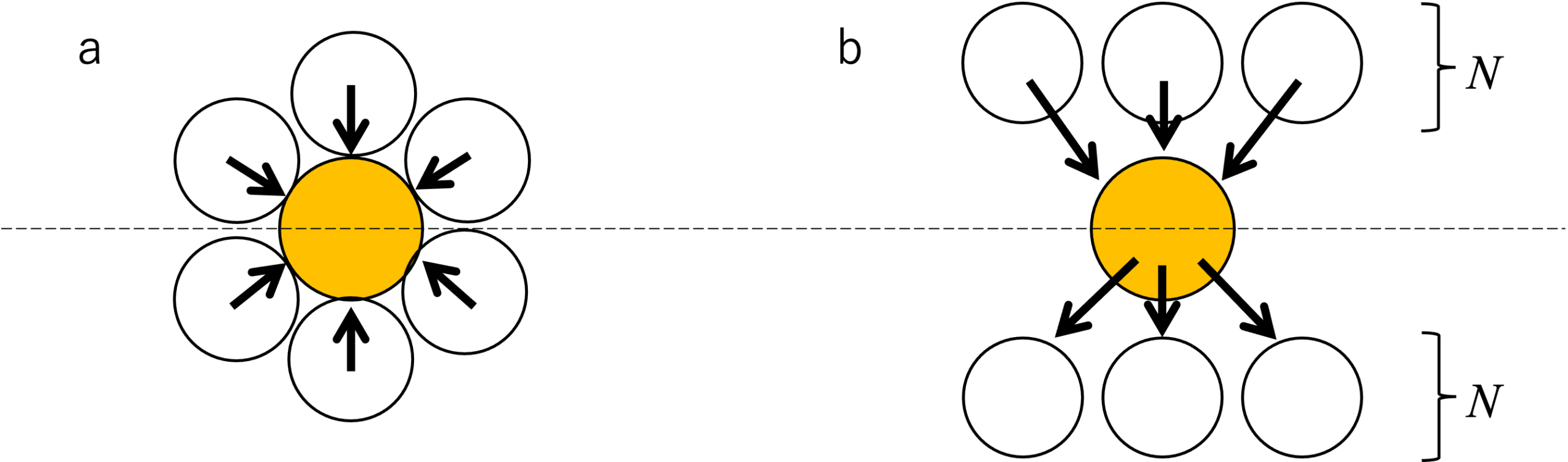 Model setup. Particles in contact can be considered as N particles applying force to the focused particle and the particle also applying force to N offspring particles.