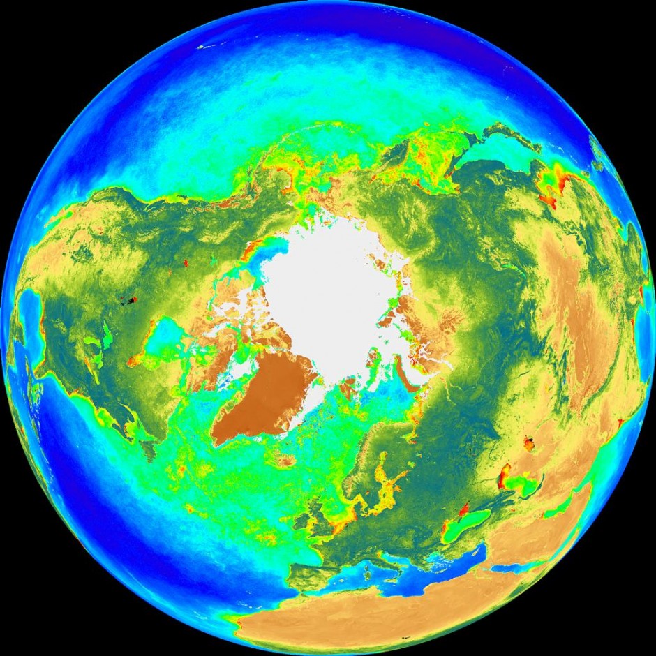 Chlorophyll concentration in the Northern Hemisphere. (Credit: NASA)