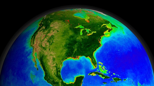 This is a false colour image of chlorophyll concentration. Dark blue regions are low nutrient, low chlorophyll environments and red regions indicate areas where algae have reached harmful levels – note that these areas hug the coastline, where nutrient input is greatest. (Credit: NASA)