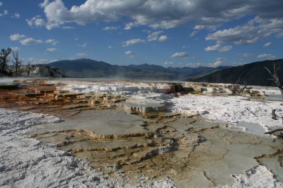 “Mammoth Hot Springs” by Gert Verstraeten, distributed by the EU under a Creative Commons licence.