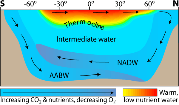 Geolog Atlantic Water Masses