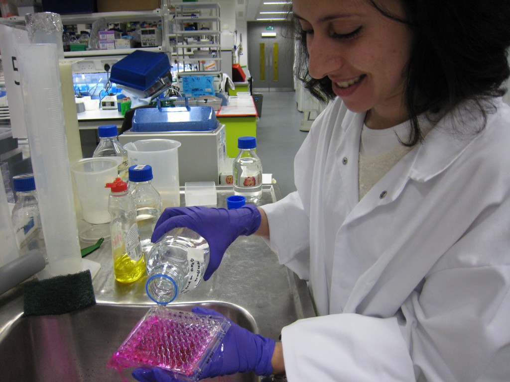 Meriame carrying out a sulforhodamine B (SRB) assay. (Credit: British Science Association)