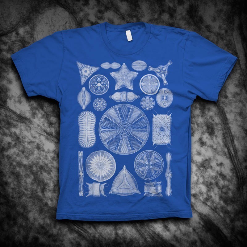 Diatoms t-shirt by vortextradingcompany