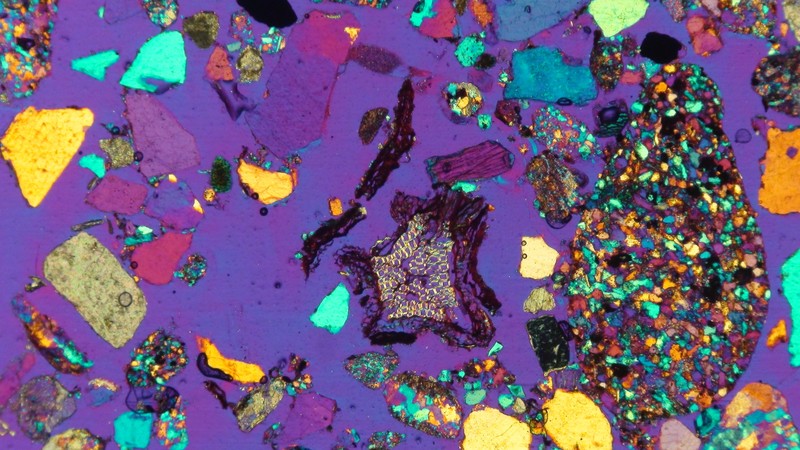 Under the microscope, where mineral and biological worlds meet. (Credit: Laura Gargiulo via imaggeo.egu.eu)