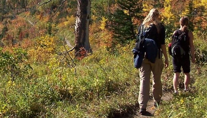GeoEd: Citizen Geoscience